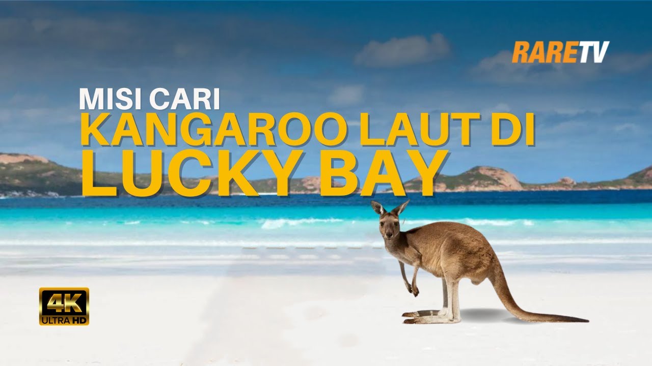 Ep 8 | Misi mencari Kangaroo Laut di Lucky Bay