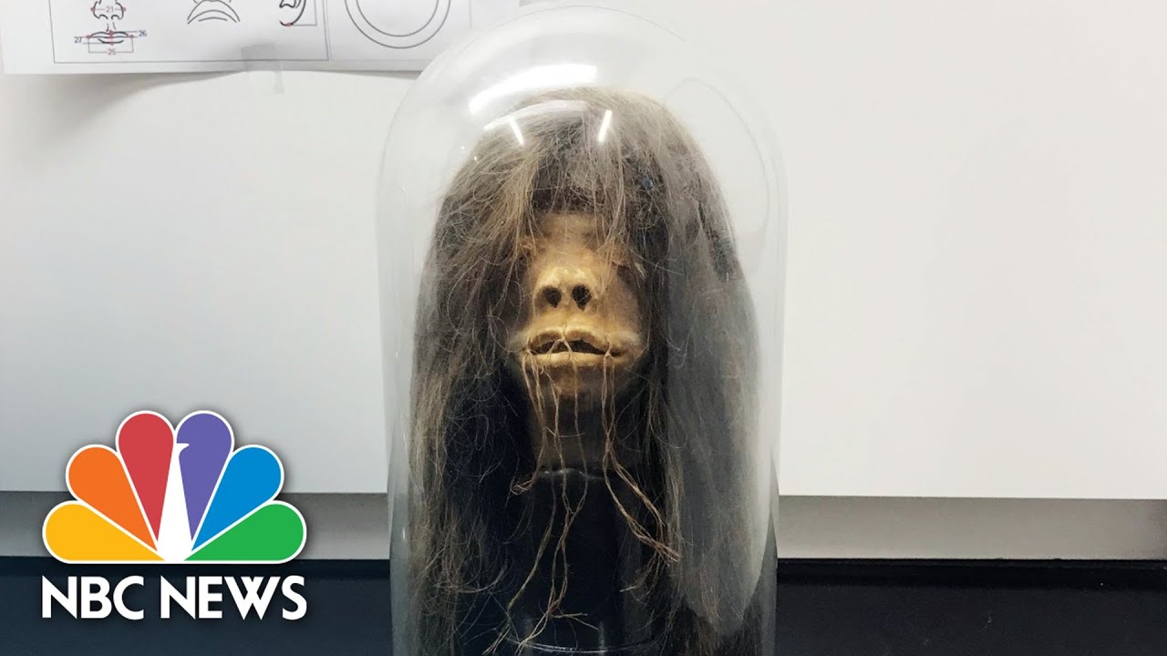Ceremonial Shrunken Head Returning To The Amazon From U.S.