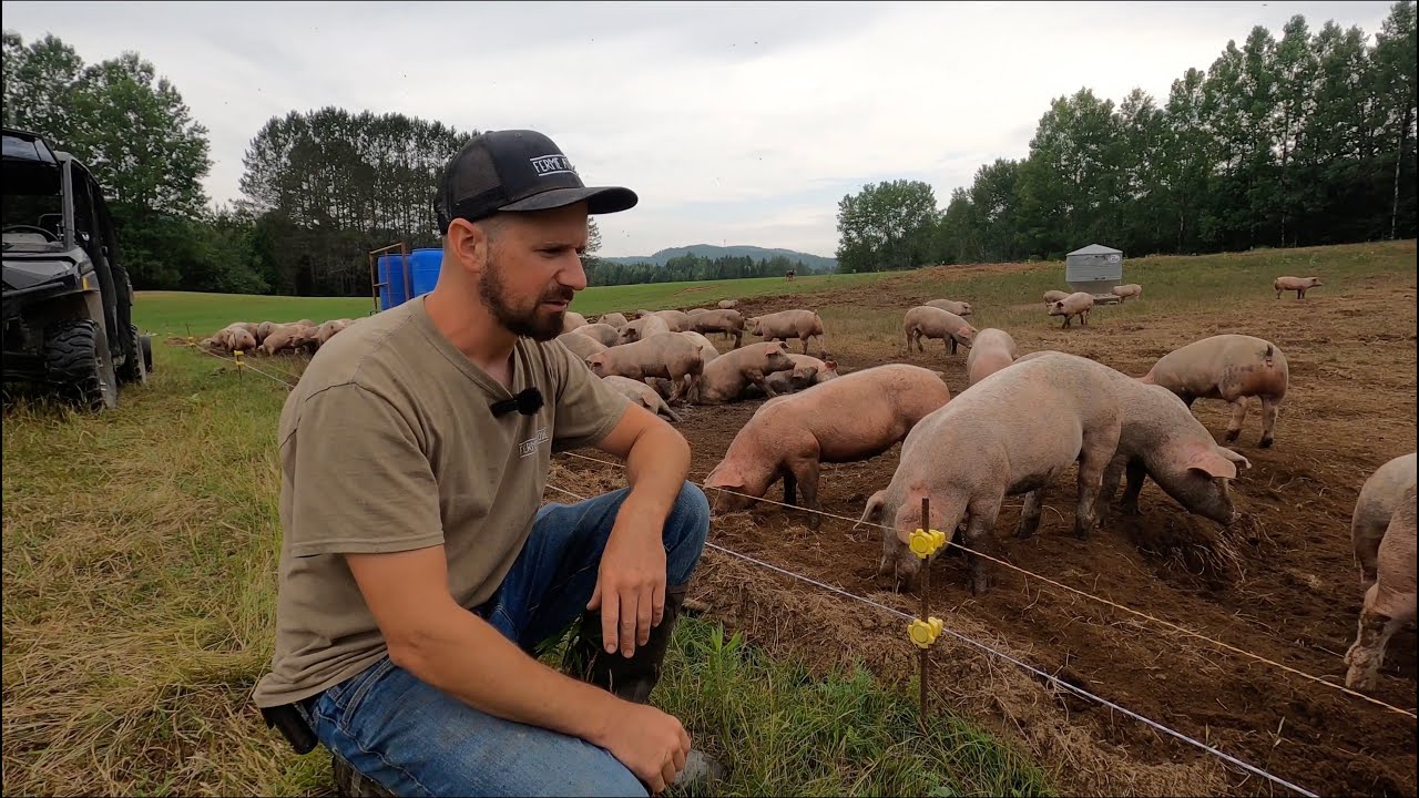 Les Cochons Atypiques !