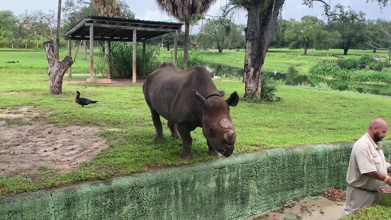 Welcome to Florida: Busch Gardens Animal Encounters