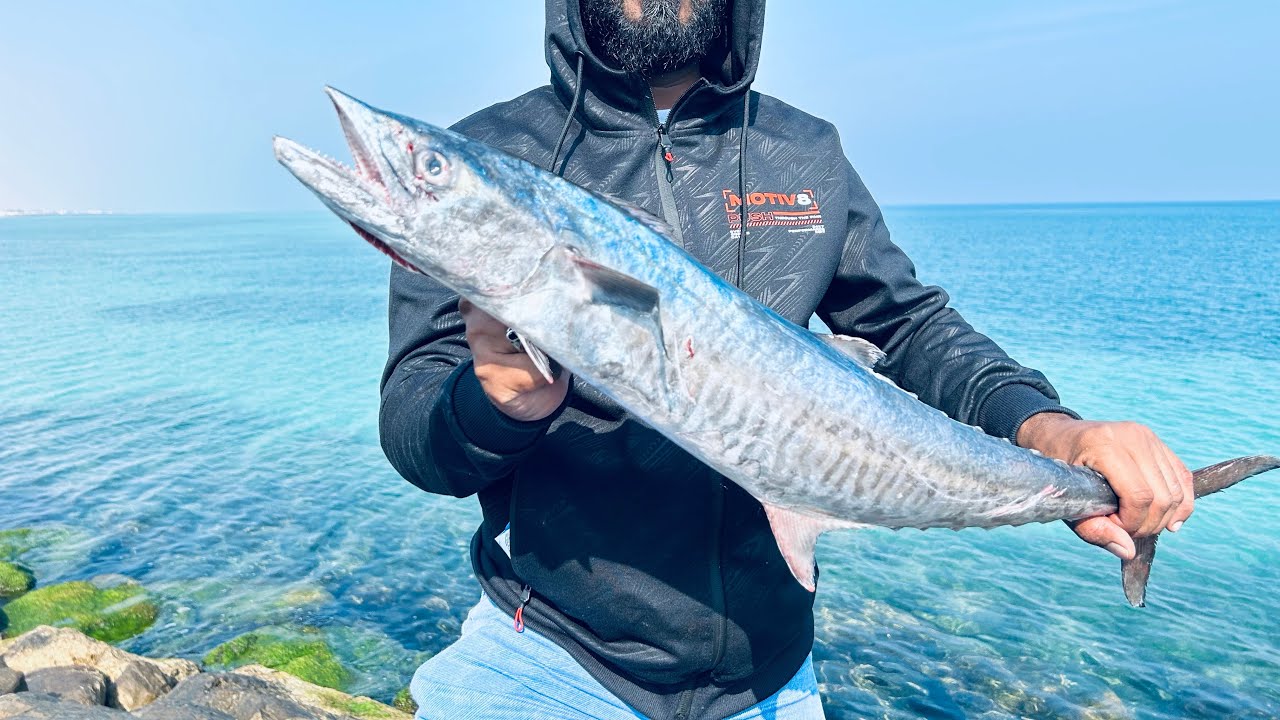 King fish,Trevally| ShorejiggingRas Al Khaimah Fishing #fish #fishing #blueboyocean