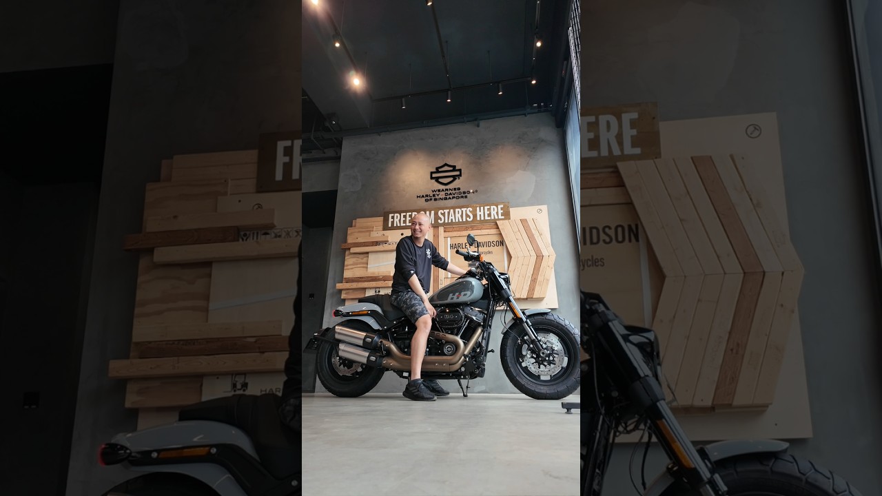 Added a HOG to my Collection #HarleyDavidson #FXFBS #Fatbob