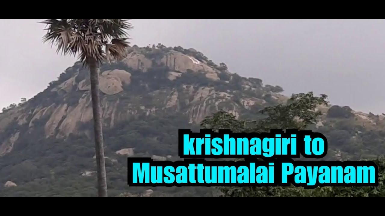 கிருஷ்ணகிரி to முசாட்டு மலை பெருமாள் கோயில் பயணம் | Krishnagiri to Musattumalai Perumal Temple VLOG