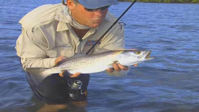 Wading for Sea Trout Fishing with DOA shrimp Jensen Beach Florida