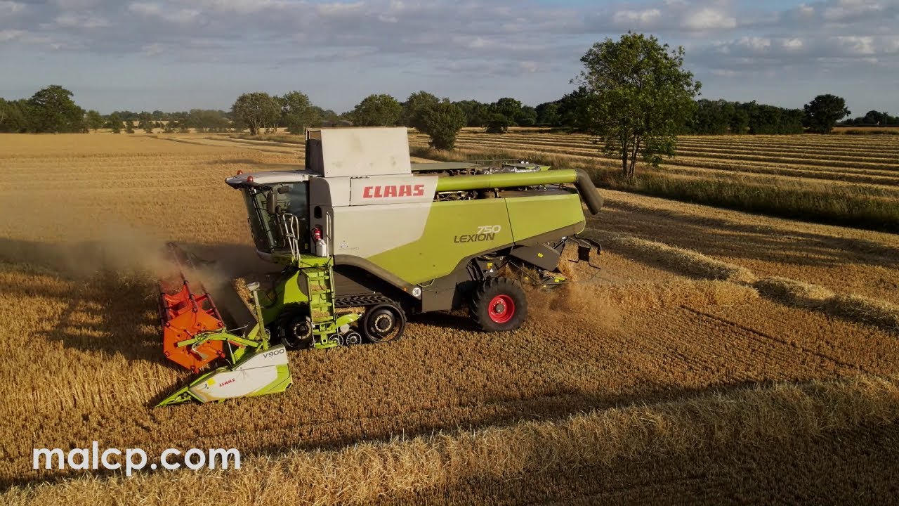 Harvest 2022: Claas Lexion 750 TT harvesting winter barley