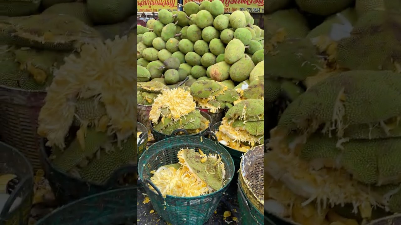 Quick and skillful jackfruit peeling  #fruit #food #jackfruit #foodland