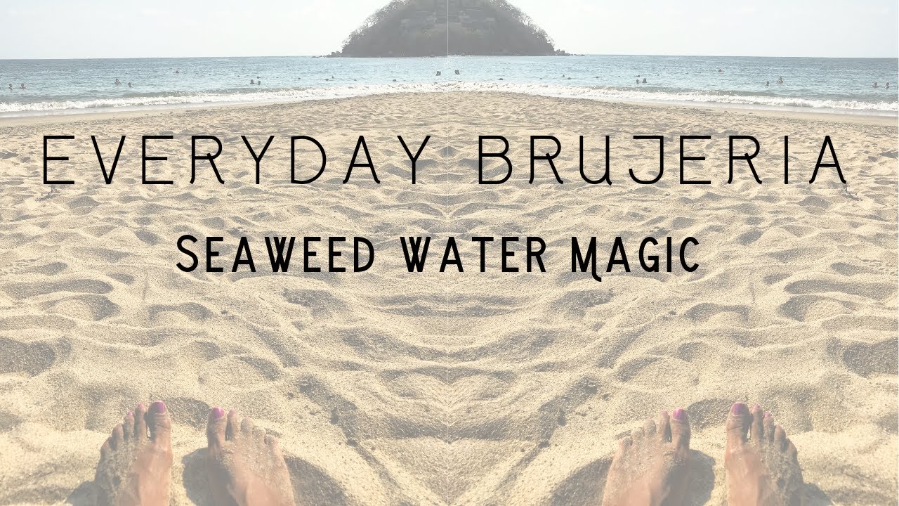 Seaweed Water Magic: Everyday Brujeria, Tropical Beach Magic, Oceanic Magic, Cancer Season Magic