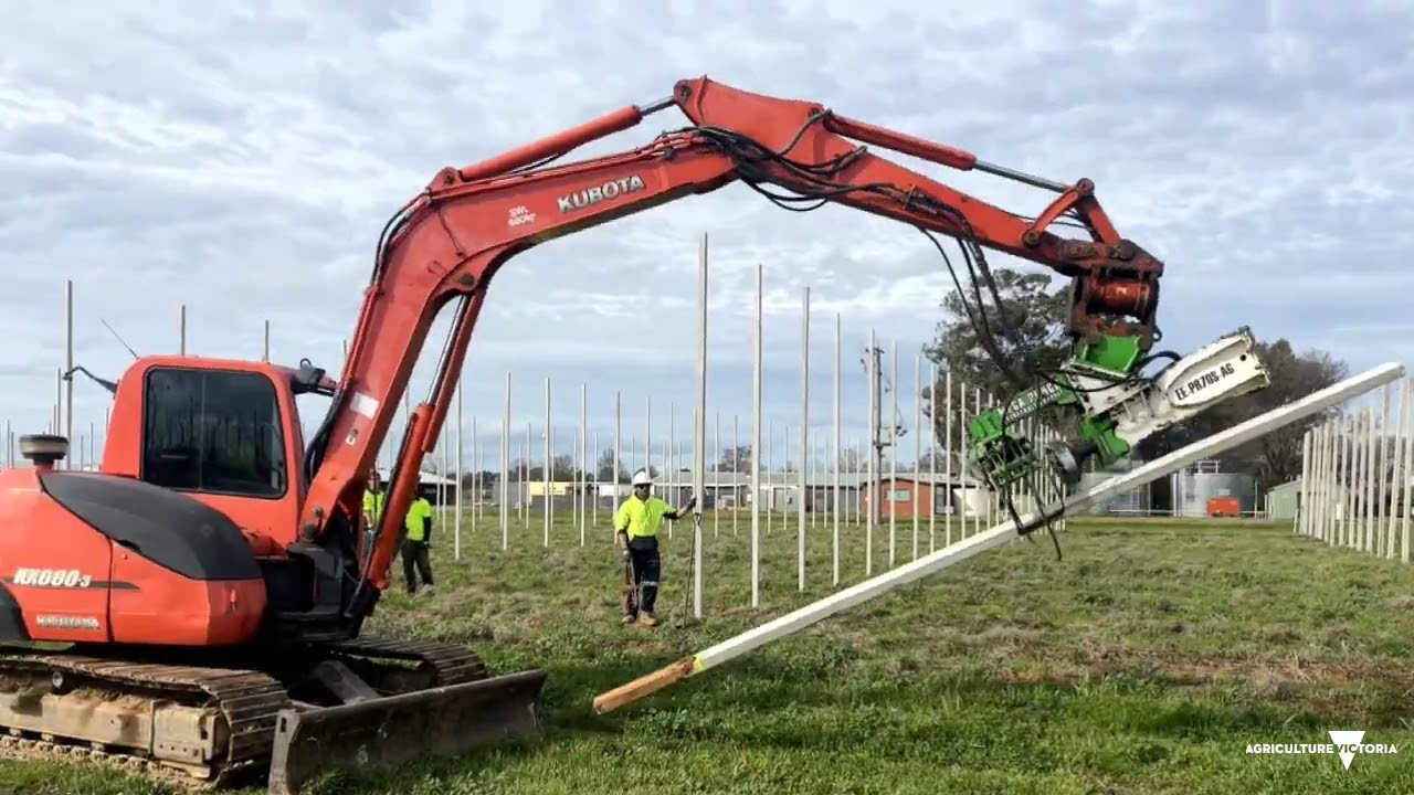 Narrow Orchard Systems orchard development Spring 2024
