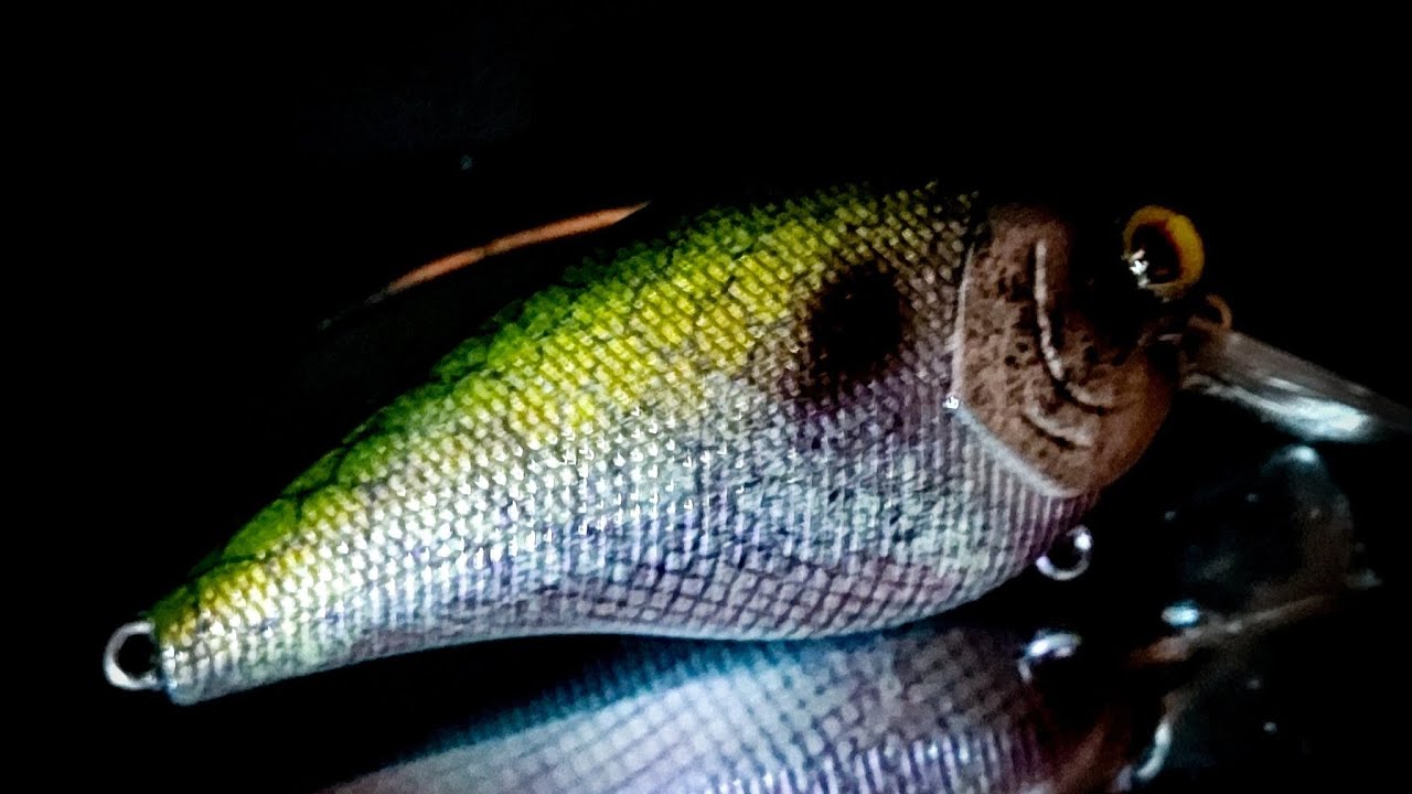 Lure painting for beginners and the YouTube learning curve.