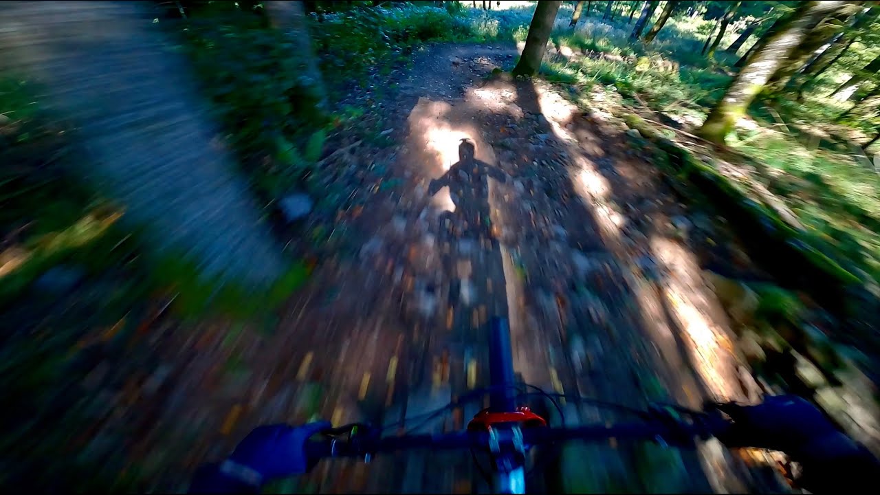 Canadian Wald in Freiburg | #mtb #freiburg #enduro #Canadiantrail