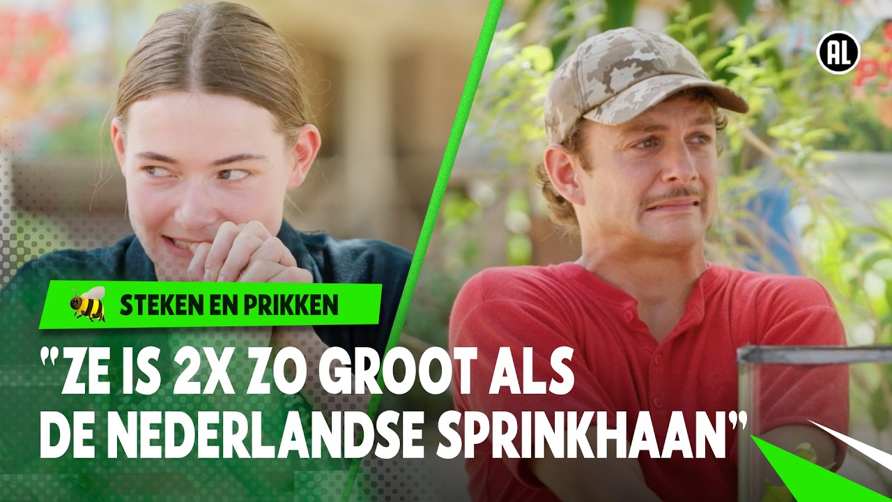 GEBETEN DOOR ENORME SPRINKHAAN MET ENGE KAKEN! 😵⚠️  | Steken en Prikken | Seizoen 5 #7 | NPO Zapp