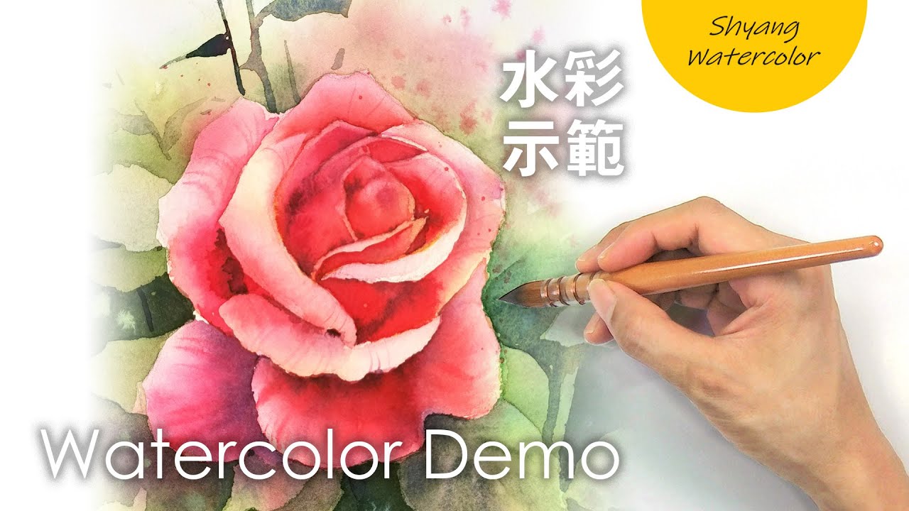 【玫瑰的水彩负像画法】如何画玫瑰 | 水彩示范 | 陈熙翔水彩