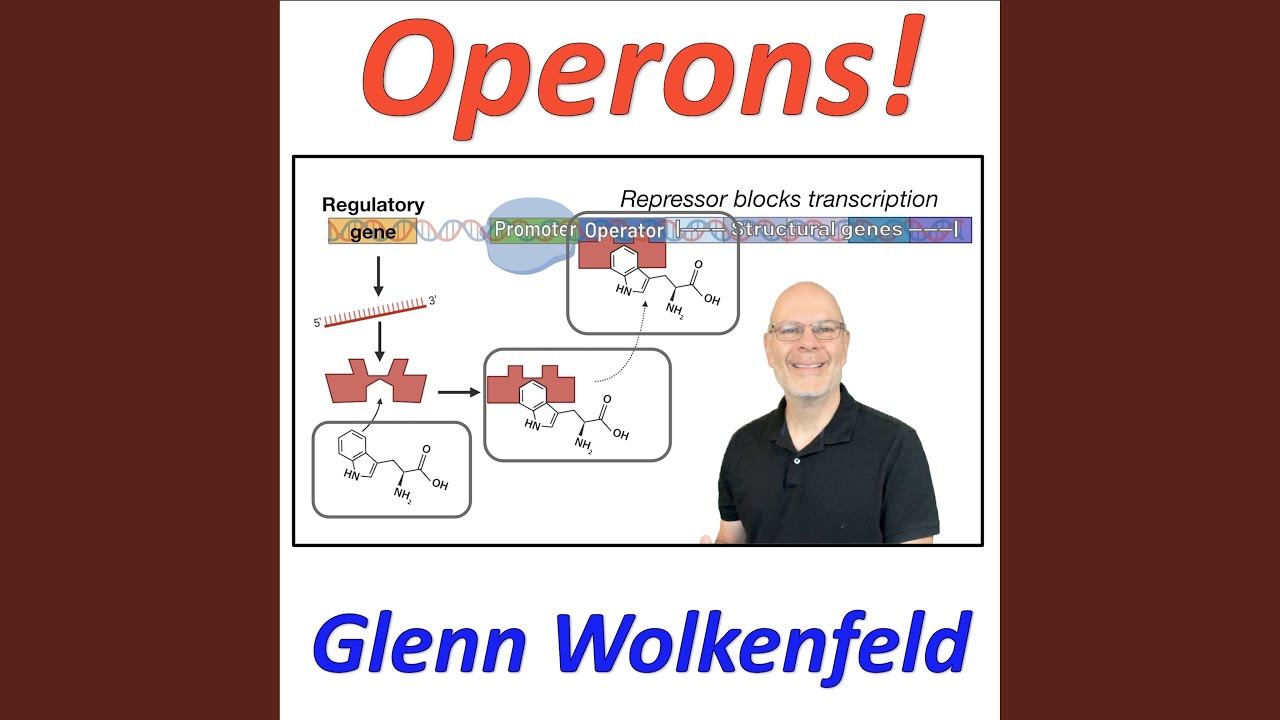 Operons!