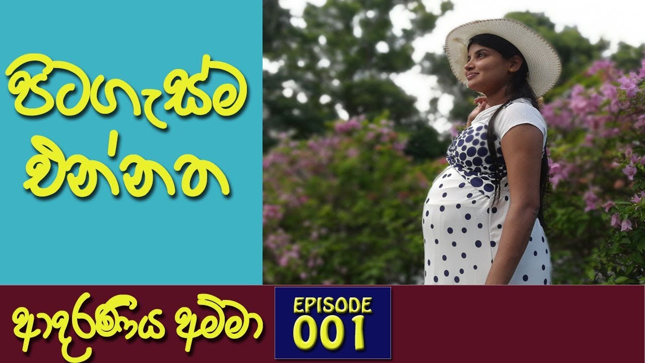ගැබිනි මවට පිටගැස්ම එන්නත