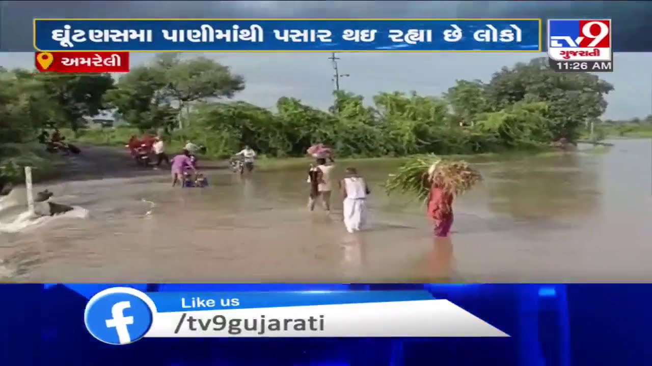 Amreli: Nilvada causeway in Babra submerges in rain water | TV9News