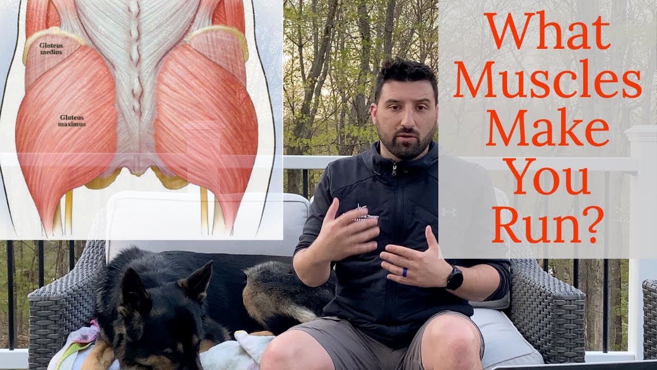 Какие мышцы работают больше всего во время бега? - Какие мышцы вы задействуете во время бега?
