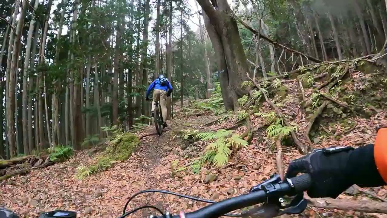 伊豆山伏トレイル⑥🚵