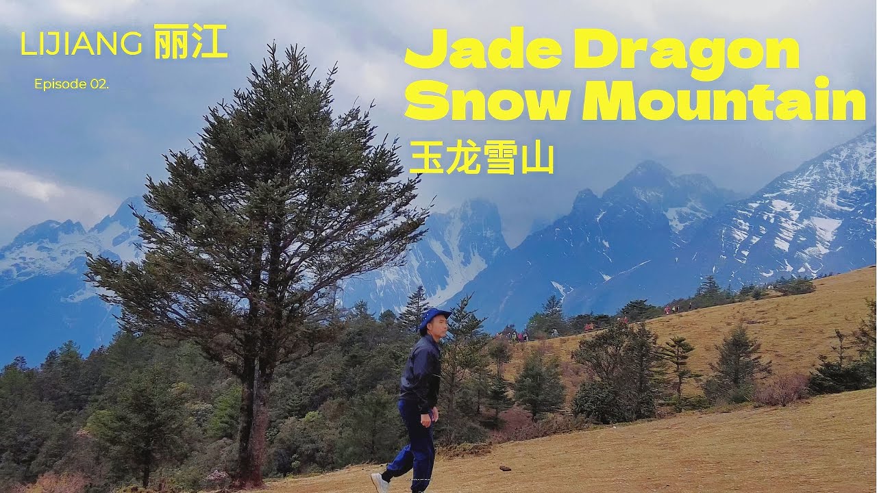 Jade Dragon Snow Mountain |Yak Meadow | Lijiang Yulong Snow  Mountain, Yunnan China