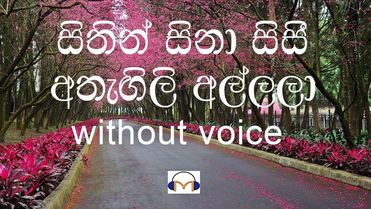 Sithin Sina Sisi Karaoke (without voice) සිතින් සිනා සිසි