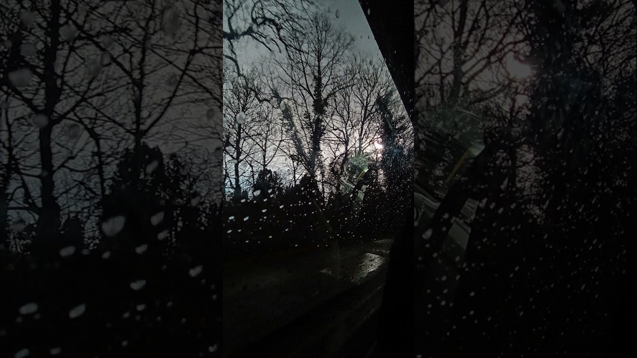 Forest of No Return _(Lyrics in description)