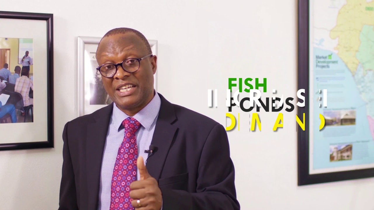 Foundation for Partnership Initiatives in the Niger Delta (PiND)