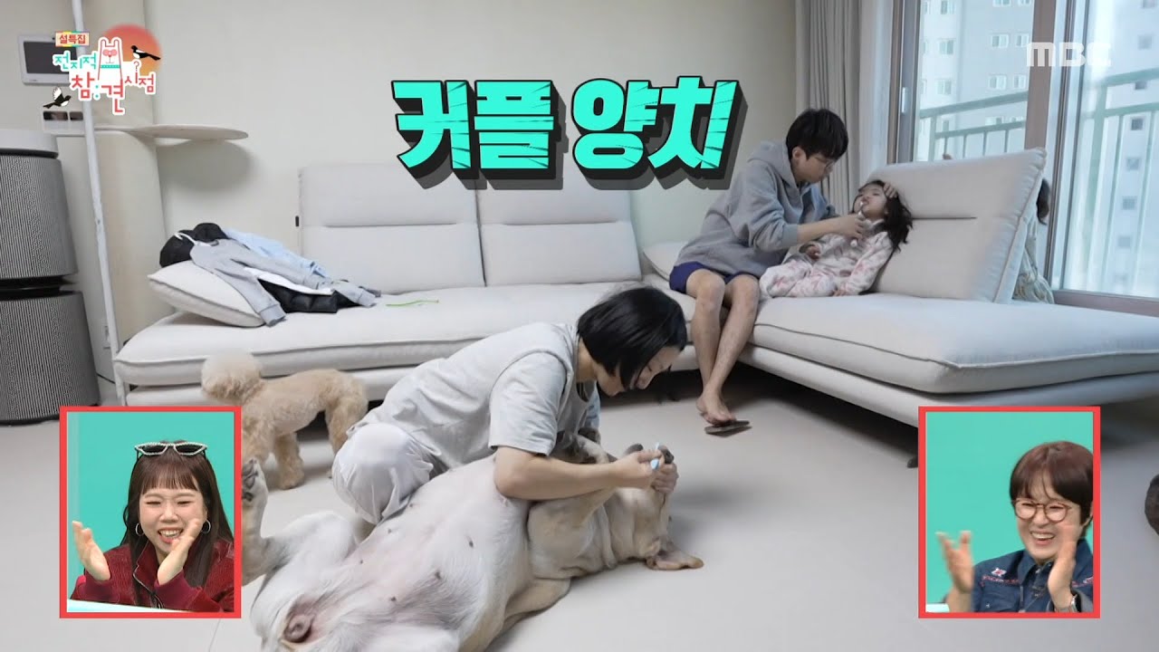 [전지적 참견 시점] 이강태 부부의 찾아가는 양치 서비스🪥 거실에서 펼쳐진 애·개 육아 현장, MBC 260214 방송