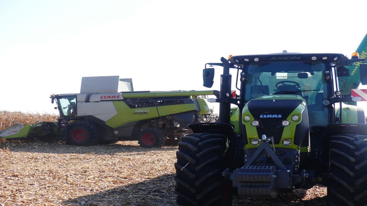 Kukurydza na ziarno - Claas Lexion 6800 ,Claas Axion 850 Hawe (Testy) *GR Cieszyński*
