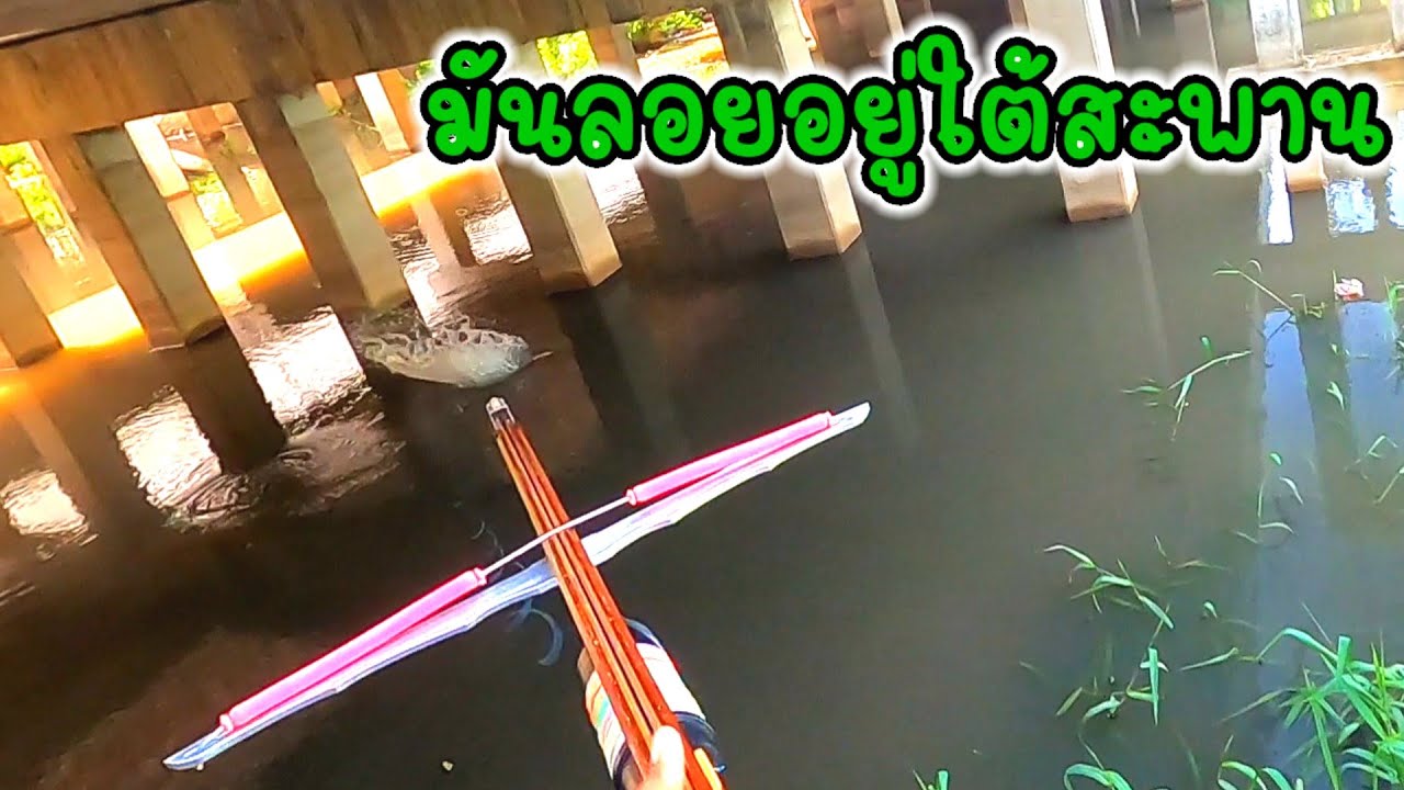แตกแล้ว...กรุปลาเค้าเมืองสุพรรณ