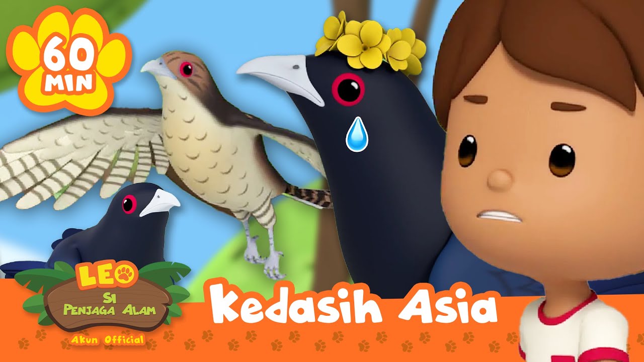 Burung jantan patah hati! Hari Valentine | Burung | Leo Si Penjaga Alam | Kartun Anak