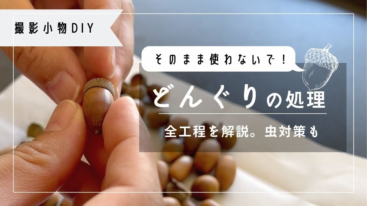 虫が出ない！どんぐりの処理【撮影小物DIY】