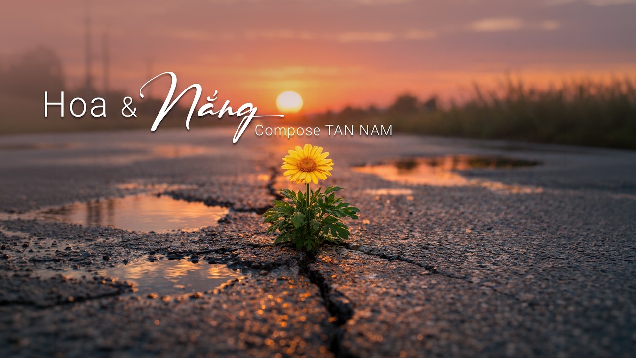 HOA & NANG KARAOKE - TAN NAM #nhacsuy #suno #karaoke