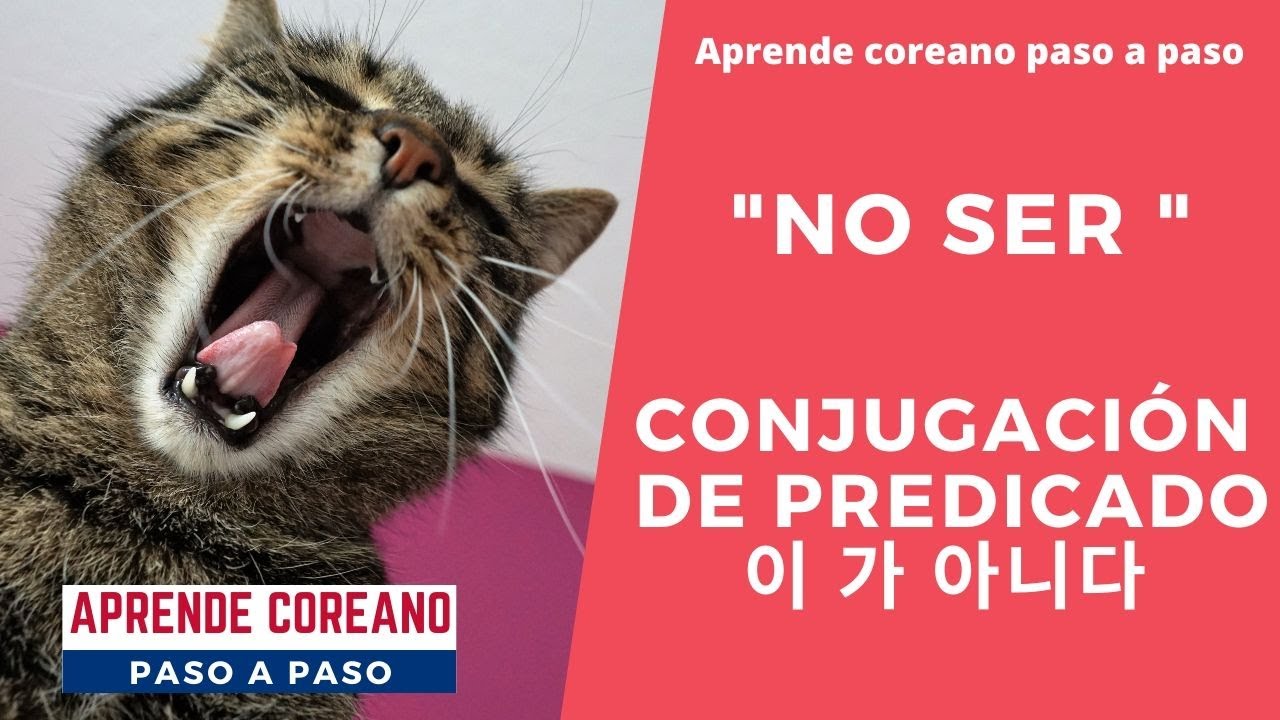 Gramática de 이/가 아니다 #coreanofacil #aprendercoreano #idiomacoreano #coreanobasico #gramáticacoreana