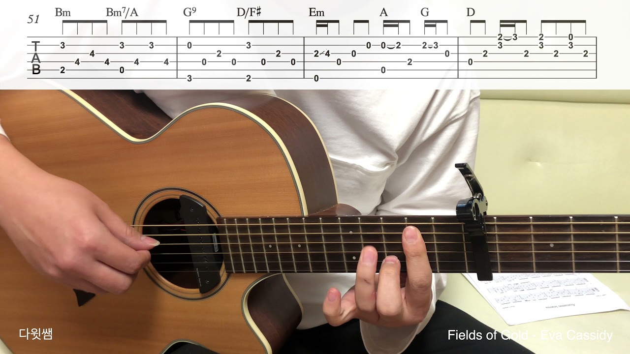 Fields of Gold - Sting(Eva Cassidy) guitar 기타커버(음원그대로 채보버젼)