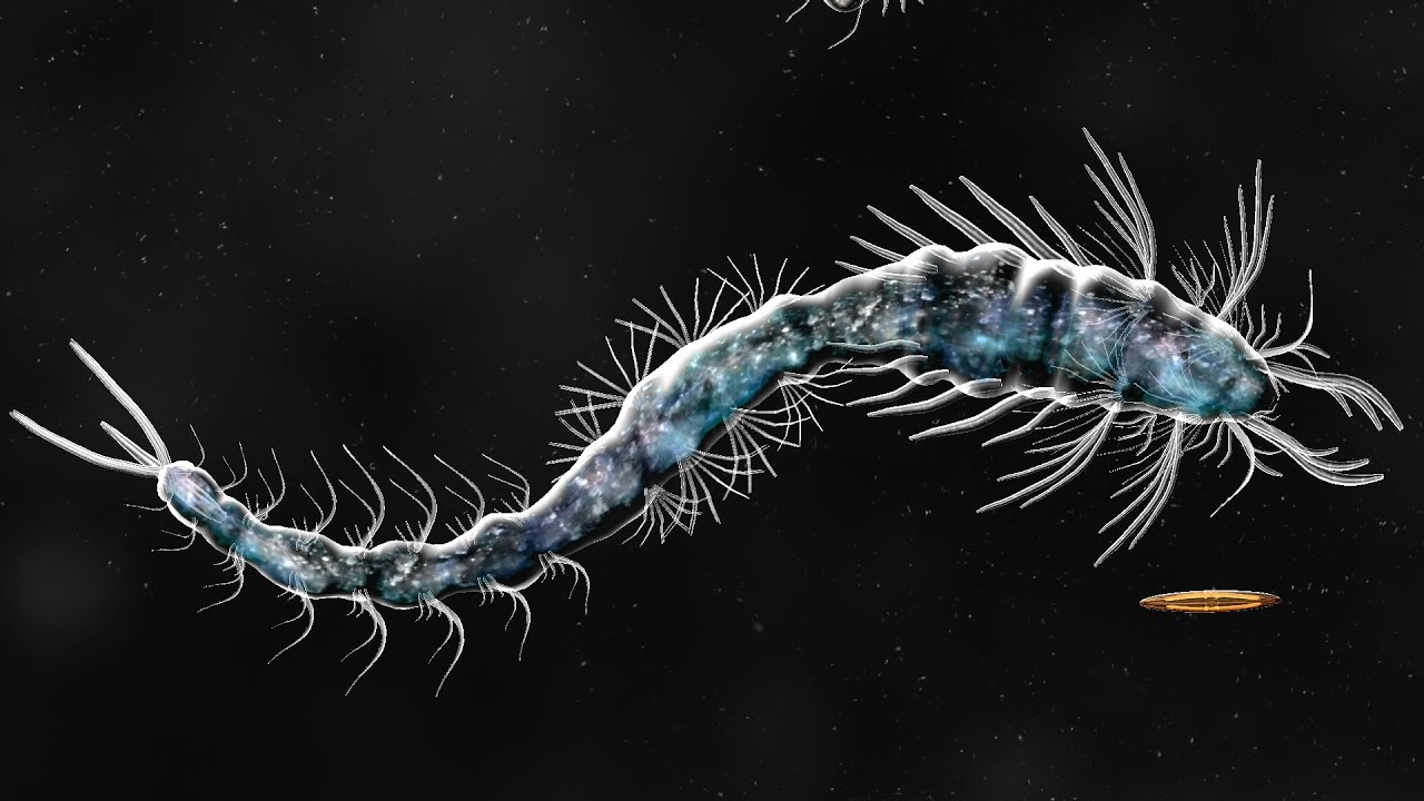 Amperio Gigas (Creature Creator) [Bionix Spore Evolution Sim 3D]