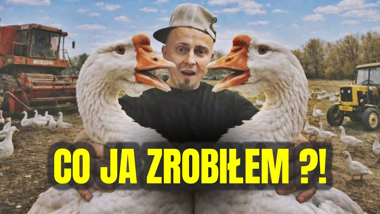 Wydałem ostatnie pieniądze na gęsi&hellip; jedna była chora 😳