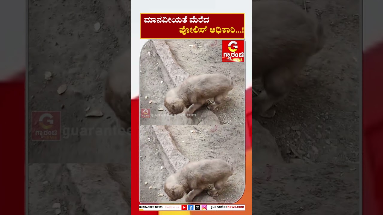 ಮಾನವೀಯತೆ ಮೆರೆದ ಪೋಲಿಸ್ ಅಧಿಕಾರಿ..! | Guarantee News