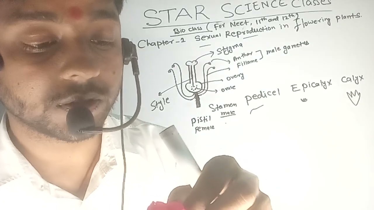 Biology class chapter 01 sexual reproduction in flowering plants for  12th and Neet