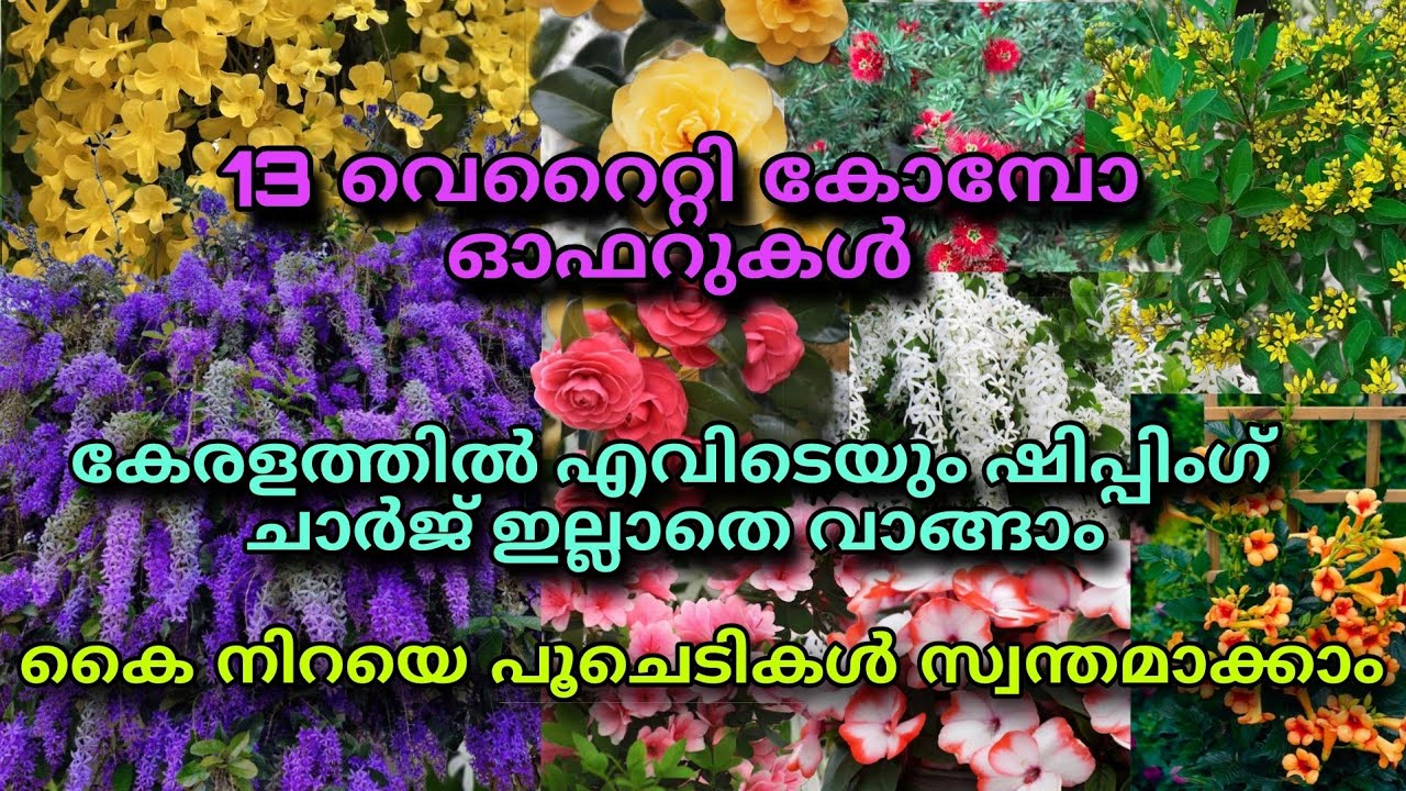 🌺🔥📦13 വെറൈറ്റി കോമ്പോ ഓഫറുകൾ കേരളത്തിൽ എവിടെയും ഷിപ്പിംഗ് ചാർജ് ഇല്ലാതെ വാങ്ങാം #reels 