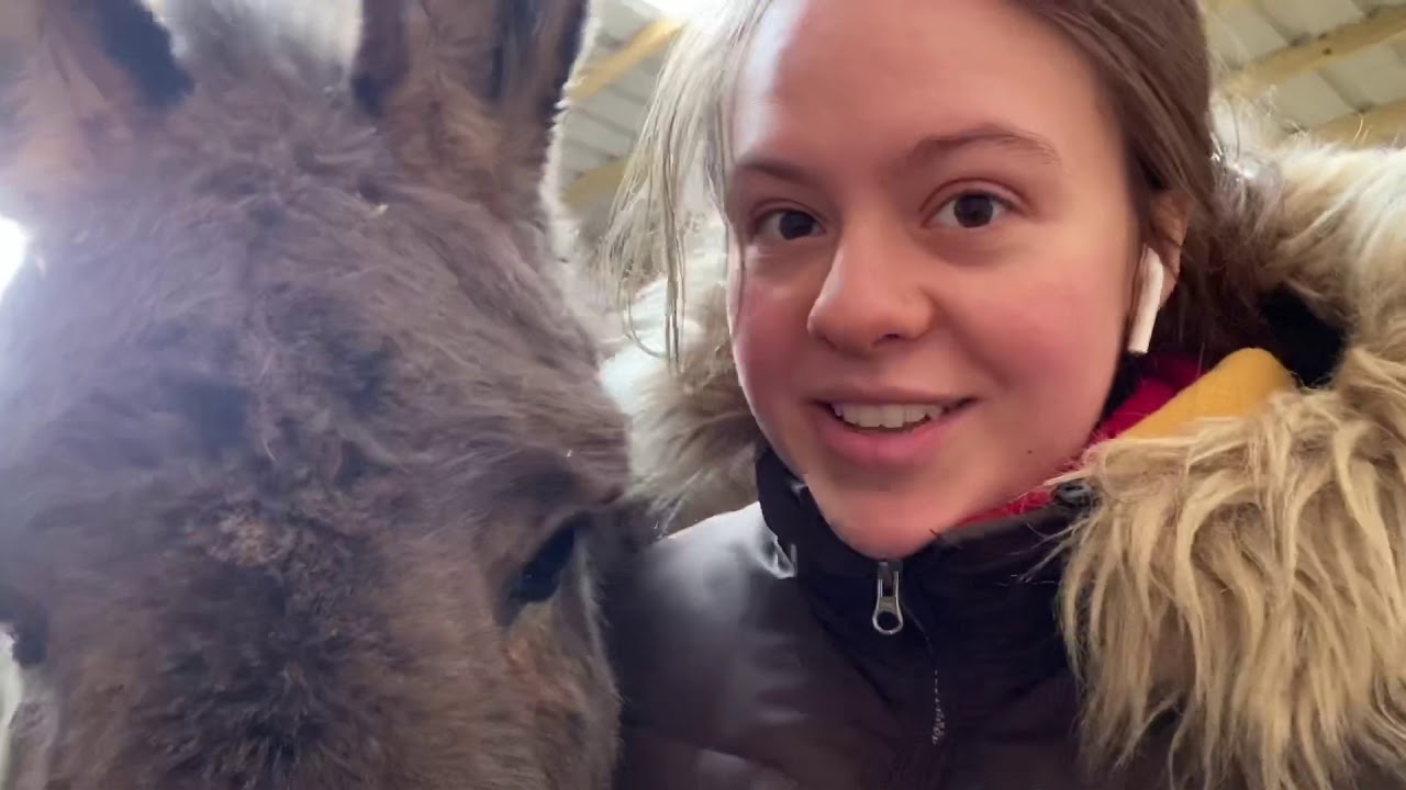 A Day in the Life with Jenny at Wonkey Donkey - Vlog #1
