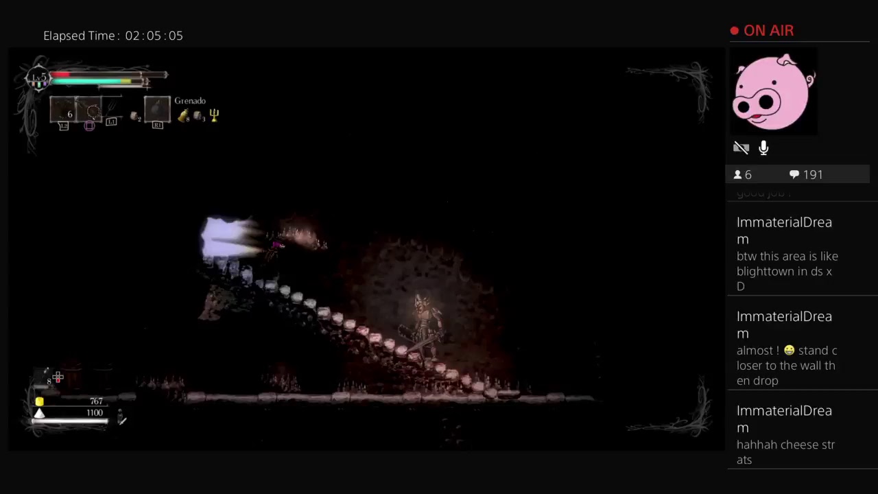 SALT AND SANCTUARY : CANT SLEEP  LIVE STREAM  HALF OF AISLE 55