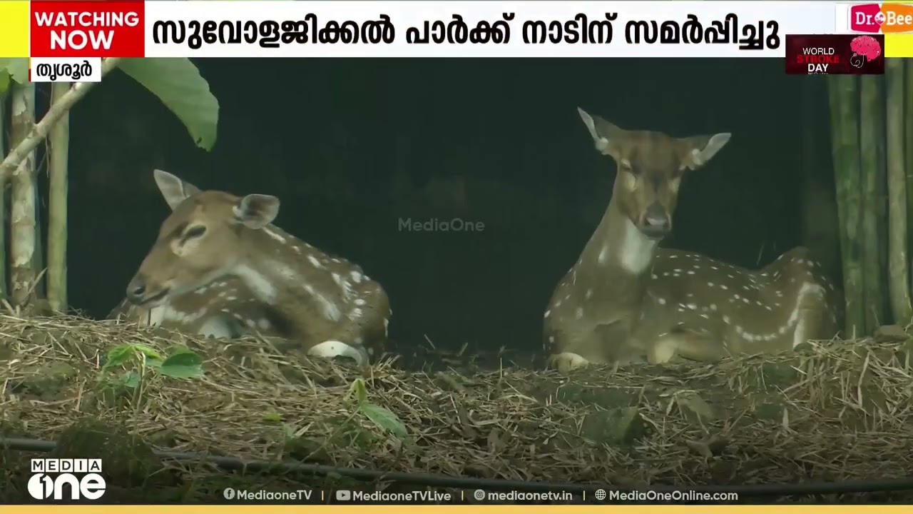 തൃശ്ശൂർ സുവോളജിക്കൽ പാർക്ക് മുഖ്യമന്ത്രി പിണറായി വിജയൻ നാടിന് സമർപ്പിച്ചു..|.ThrissurZoologicalPark