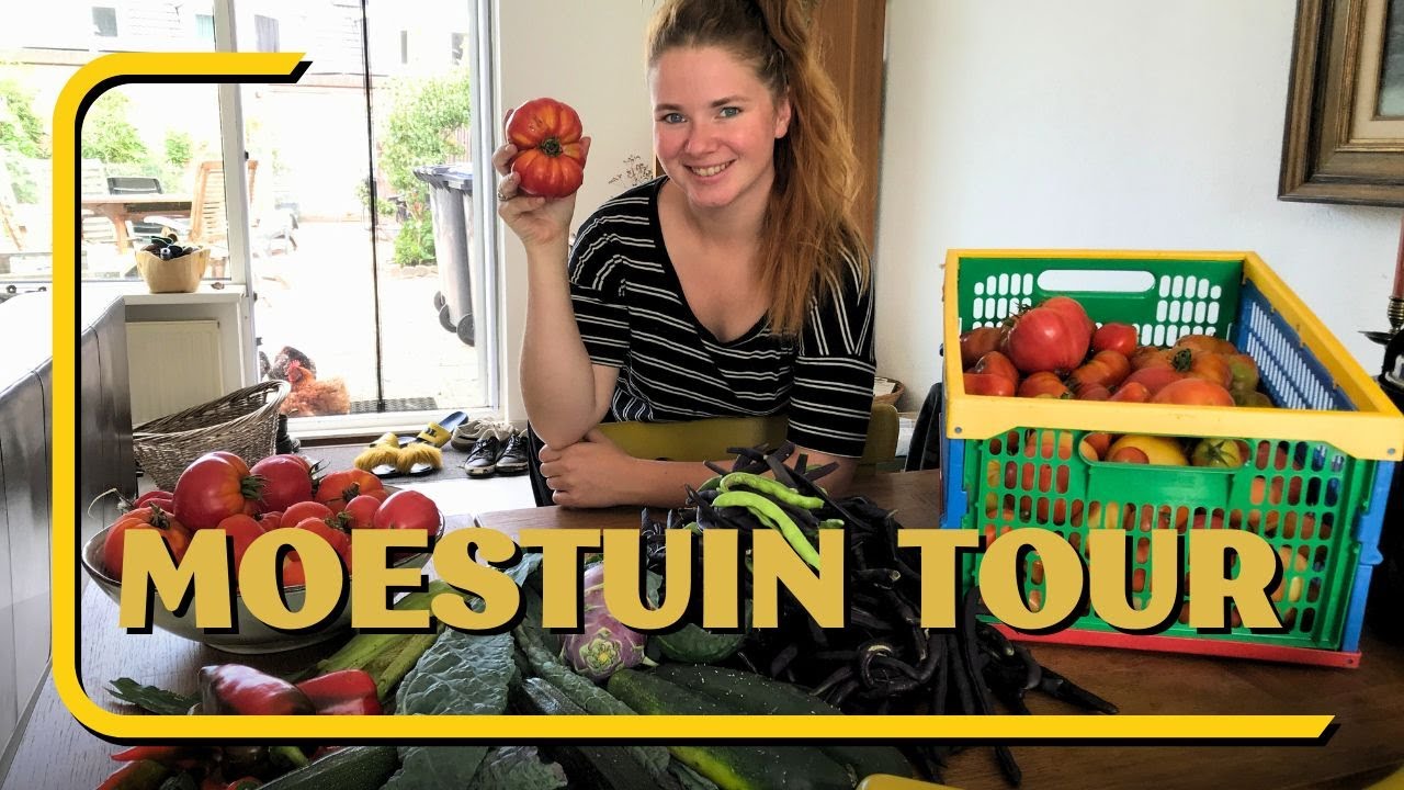 MOESTUIN TOUR! September | Oogst en Conserveer met mij!