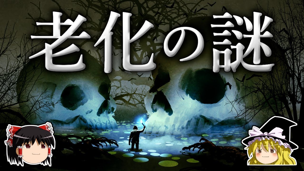 翼を得た生物はなぜ寿命が長くなるのか？【ゆっくり科学】