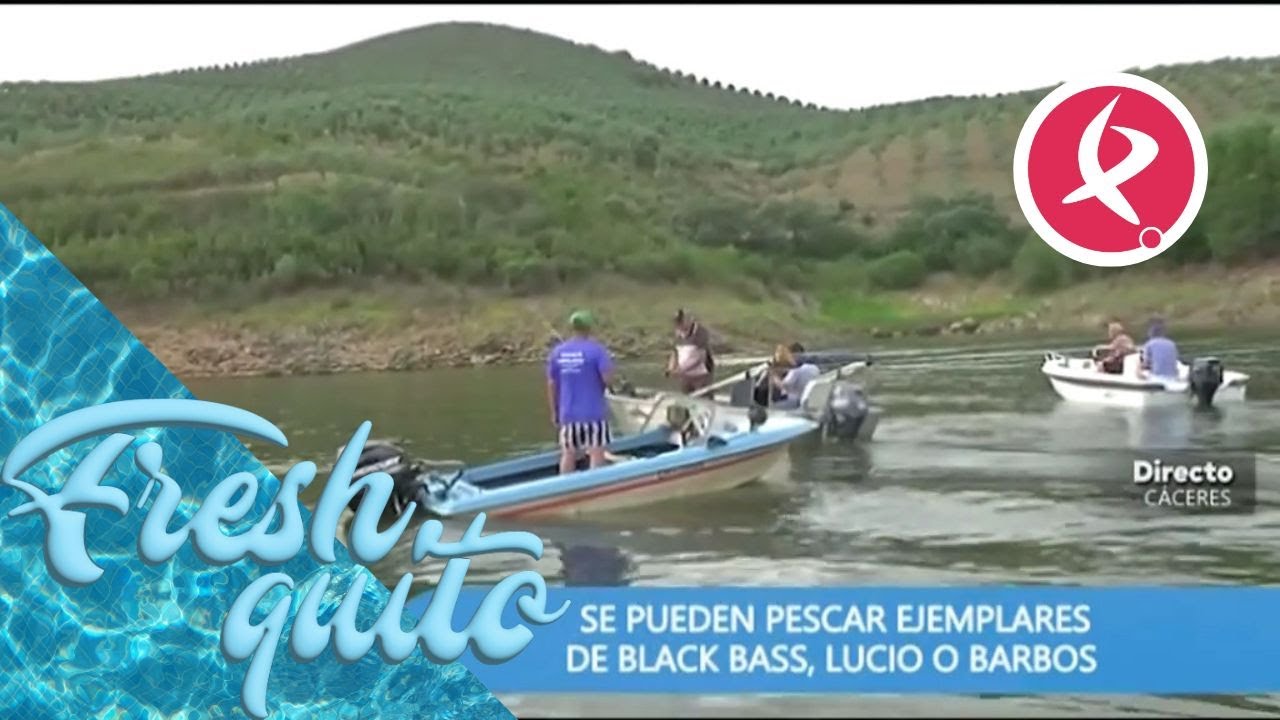 Un lugar perfecto para practicar la pesca y disfrutar del entorno | Dos de Tarde