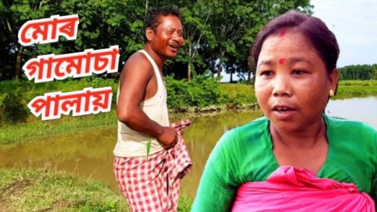 BANJAN RABHA COMEDY . মোৰ গামোচা পালায় ৰে  || Assamese Funny COMEDY