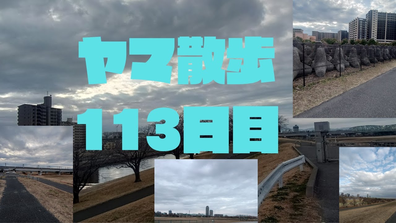 ＡＰＳどうでしょう　ヤマ散歩１１３日目