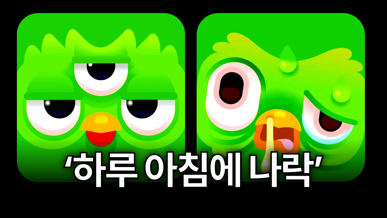 '미친 업데이트' 하나로 개털리고있는 '듀오링고'