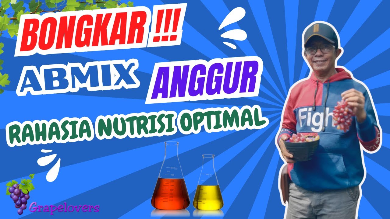 AB MIX Anggur: Rahasia Nutrisi Optimal! 🌿🍇