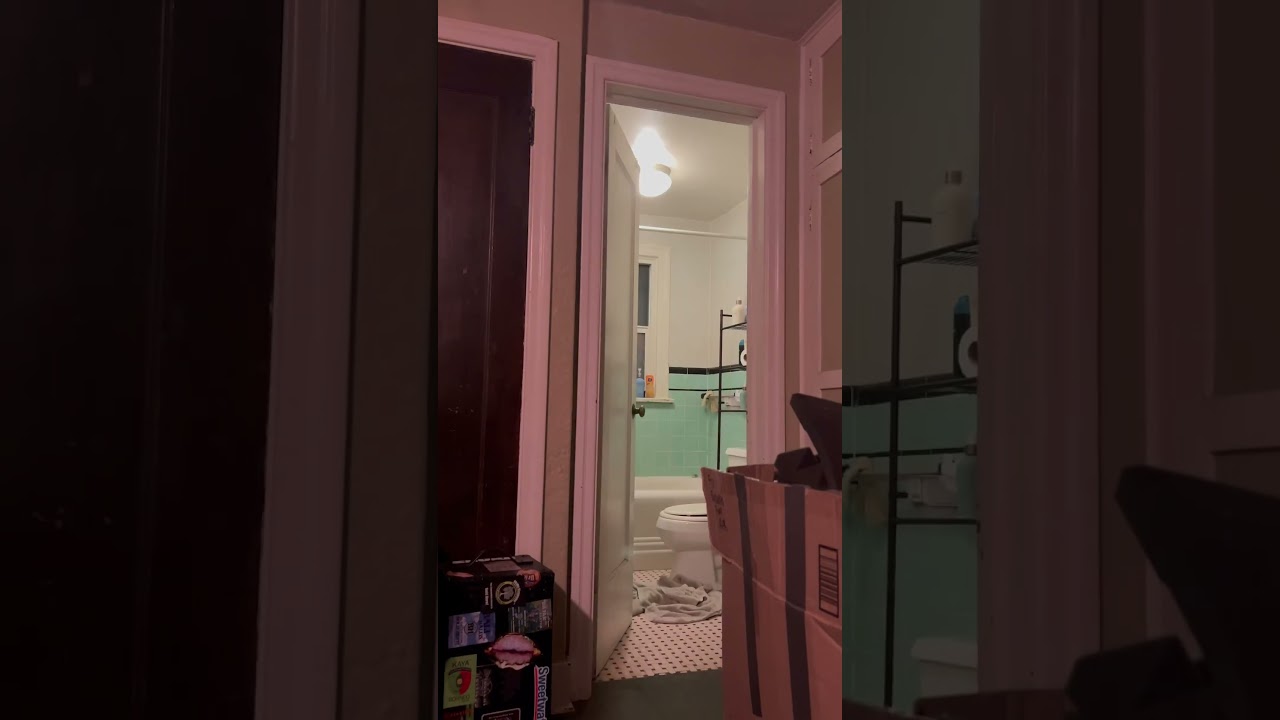 Entity in the Bathroom #entity #ghost #paranormal #scary