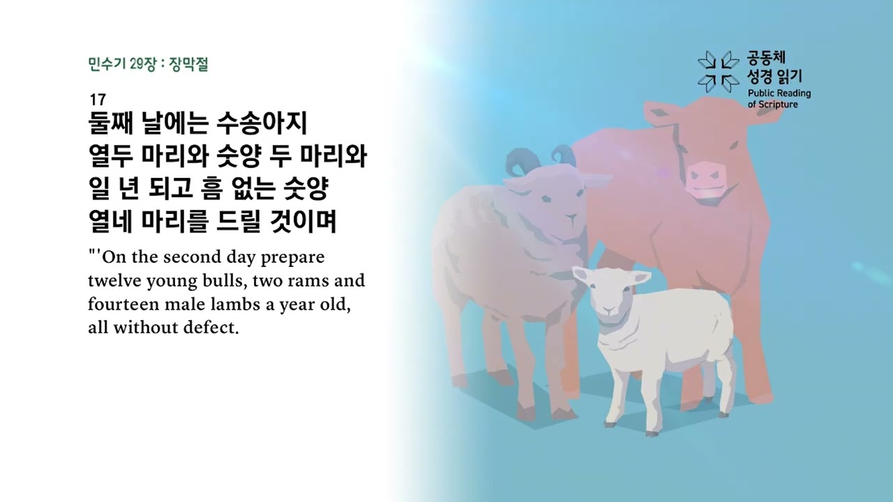 전교인 성경일천독 챌린지 44일차 (민수기 27-30장)